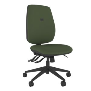 Intro IT250 Ergonomic High Back Posture Chair