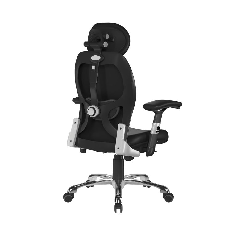 ERGO-PU-BK-ERGO-BACK-SIDE-20260106144846