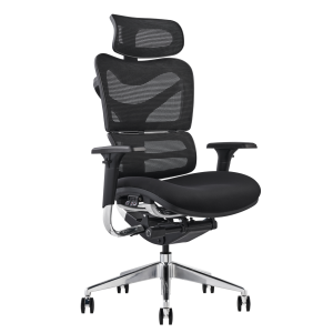 Hood V46 Ergonomic Office Chair