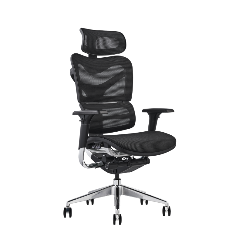 V46-M-Exec_01
