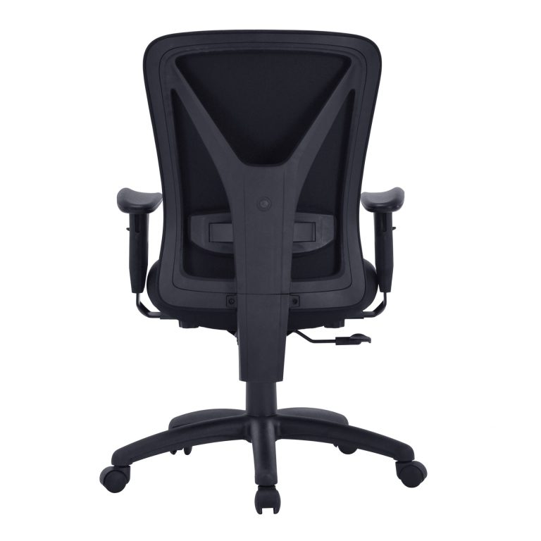 BCF-K360-BK-FORTIS-BACK-20240925155204