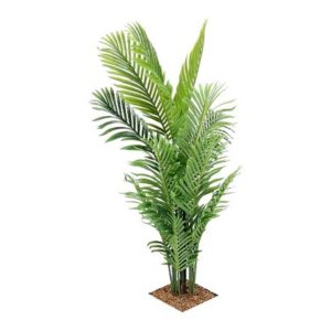 Mini Palm